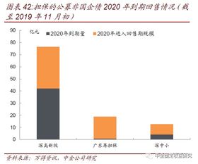 透過城投與非國企債擔保，解析專業擔保公司信用風險跟蹤